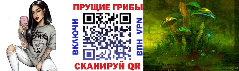 Галлюциногенные грибы MAGIC MUSHROOMS  как найти наркотики  Иркутск 