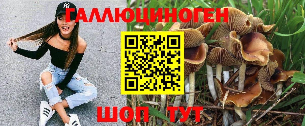 Иркутск  Псилоцибиновые грибы мухоморы  Вход с VPN 